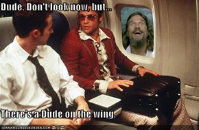 Dude. Don't look now, but...  There's a Dude on the wing.