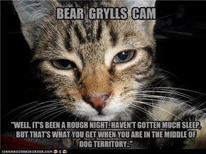 BEAR  GRYLLS  CAM