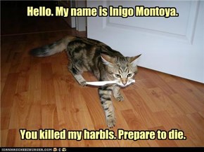 Hello. My name is Inigo Montoya.