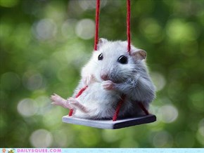 The Most Adorable of All Swingsets