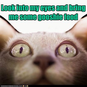 Look into my eyes and bring me some gooshie food