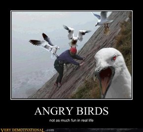 ANGRY BIRDS