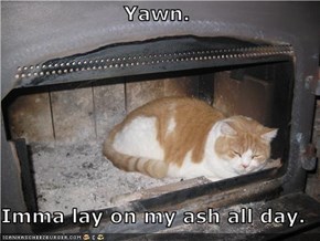 Yawn.  Imma lay on my ash all day.