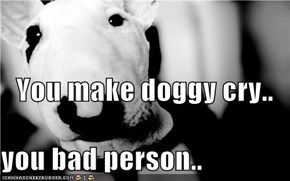 You make doggy cry.. you bad person..