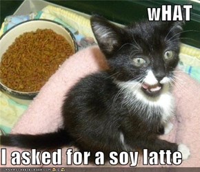 wHAT  I asked for a soy latte