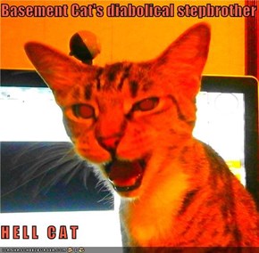Basement Cat's diabolical stepbrother  H E L L   C A T