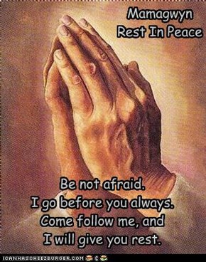Be not afraid. I go before you always. Come follow me, and I will give you rest.