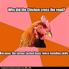 Why did the Chicken cross the road?