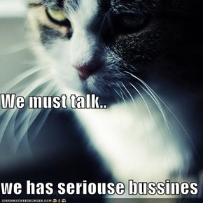 We must talk.. we has seriouse bussines