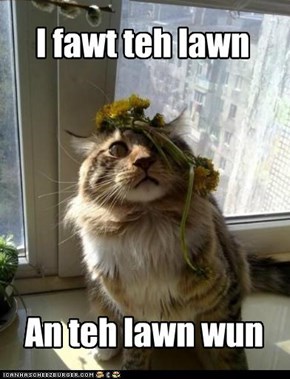 I fawt teh lawn