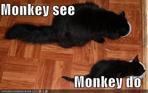 Monkey see  Monkey do