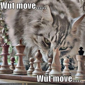 Wut move......  Wut move.....