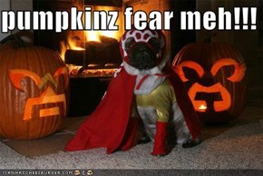 pumpkinz fear meh!!!