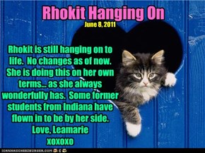 Rhokit Hanging On