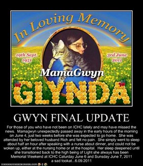 GWYN FINAL UPDATE