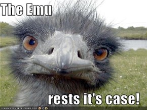 The Emu  rests it's case!