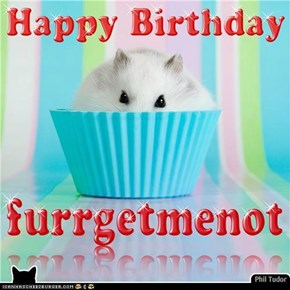 Happy Birthday furrgetmenot . . . . . . . . . . . . . . . . . . . . . . . . . .