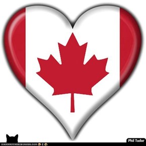 Happy Canada Day Every Buddy! . . . . . . . . . . . . . . . . . . . . .