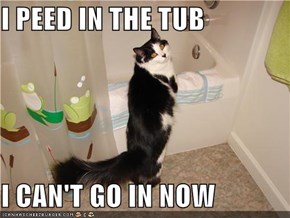 I PEED IN THE TUB   I CAN'T GO IN NOW
