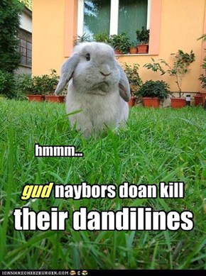 Disappoink bunneh sez
