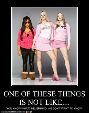 ONE OF THESE THINGS IS NOT LIKE....