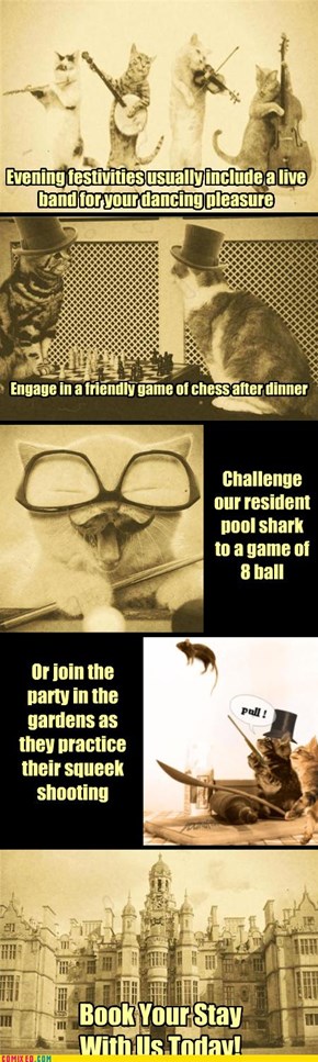 Schedule of Events for FurryPurr Manor