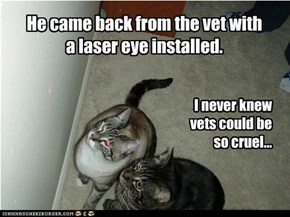 Shoulda listened to teh kitteh!