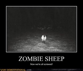 ZOMBIE SHEEP