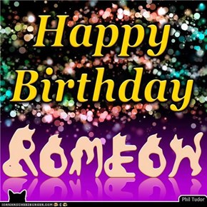 Happy Birthday Romeow . . . . . . . . . . . . . . . . . . . . . . . . . . . . .