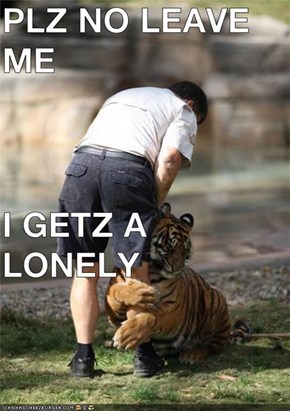 PLZ NO LEAVE ME