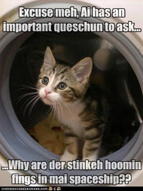 Excuse meh, Ai has an important queschun to ask...