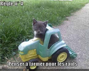 Règle n° 4  Penser à farmer pour les raids