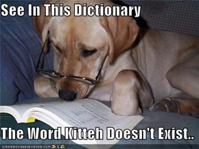 See In This Dictionary  The Word Kitteh Doesn't Exist..