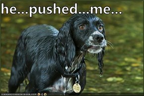 he...pushed...me...
