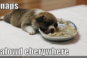 naps  alowd eberywhere