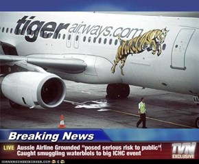Breaking News - Aussie Airline Grounded "posed serious risk to public" Caught smuggling waterblols to big ICHC event