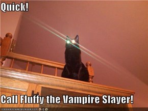 Quick!  Call Fluffy the Vampire Slayer!