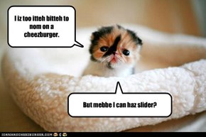 Itteh Bitteh Kittehs.  Always willing to compromise.