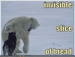 invisible slice of bread