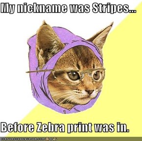 My nickname was Stripes...  Before Zebra print was in.