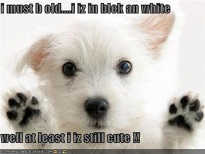 i must b old....i iz in blck an white  well at least i iz still cute !!