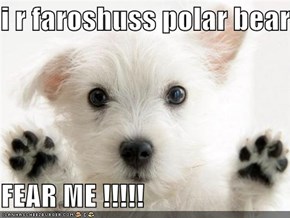 i r faroshuss polar bear -  FEAR ME !!!!!