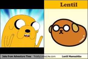 Jake from Adventure Time Totally Looks Like Lentil Mameshiba