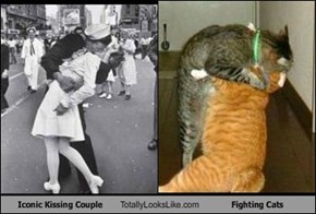 Iconic Kissing Couple Totally Looks Like Fighting Cats
