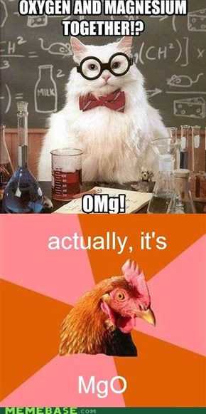 Chemistry Chicken Can Balance Equations