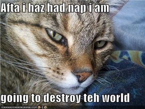 Afta i haz had nap i am  going to destroy teh world