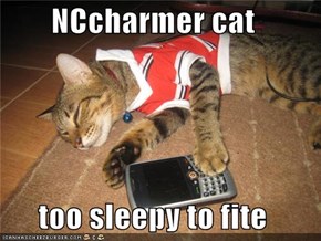 NCcharmer cat  too sleepy to fite