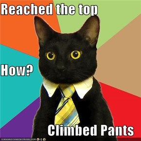 Reached the top How? Climbed Pants