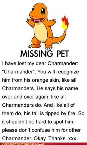 I Lost my Charmander