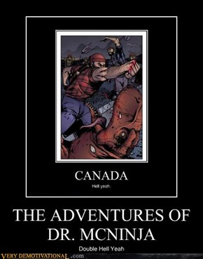 THE ADVENTURES OF DR. MCNINJA